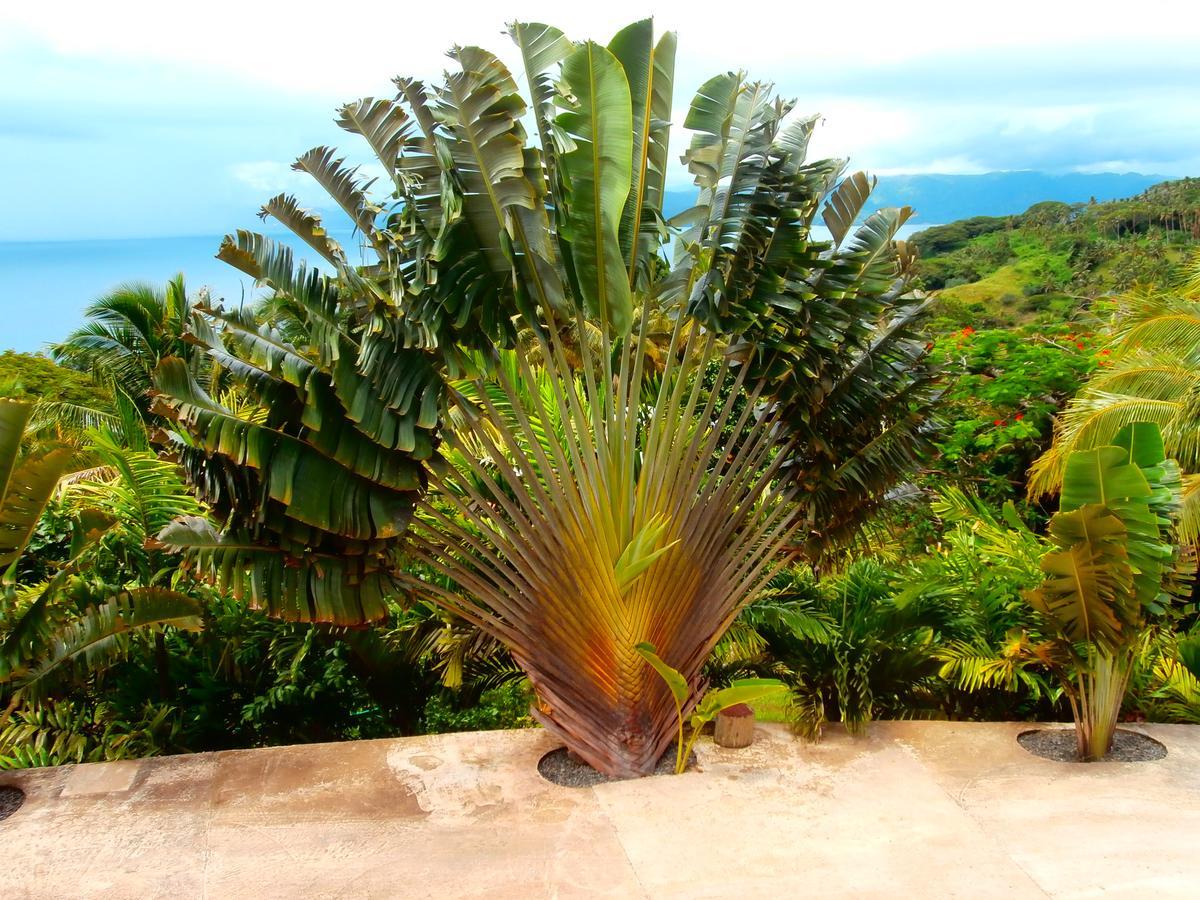 Korovesi Sunshine Villas Savusavu Bagian luar foto